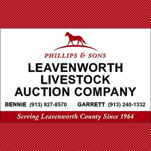 Livestock Auction Phillips Sons Leavenworth Livestock Auction