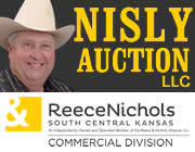 Nisly Auction LLC